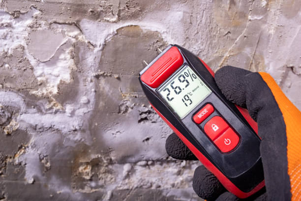 Best Mold Testing and Inspection Services in Folcroft, PA