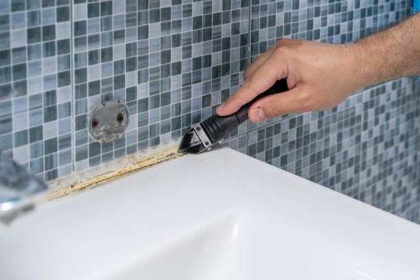 Best Kitchen Mold Remediation in Folcroft, PA