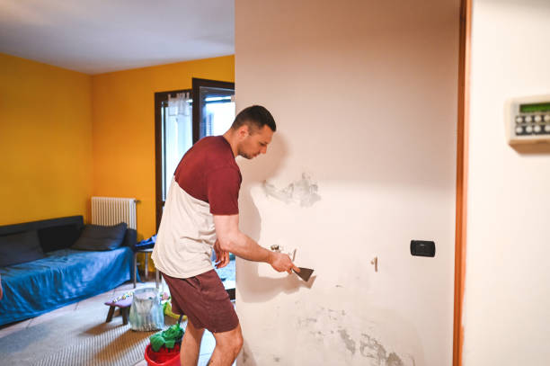 Reliable Folcroft, PA Mold Remediation Solutions